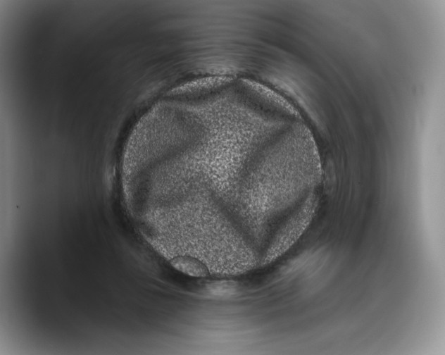 X0000089740355200707201906
