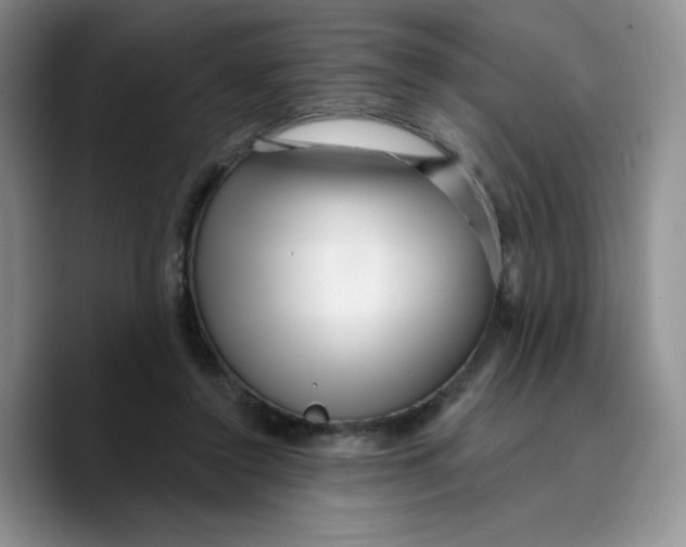 X0000089740356200707201906