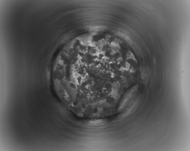 X0000089740357200707201906