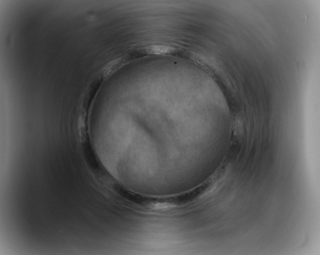 X0000089740360200707201906