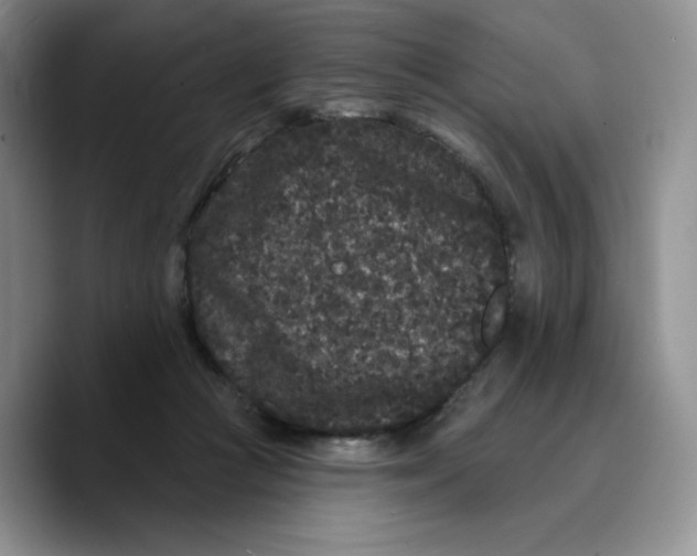 X0000089740361200707201906