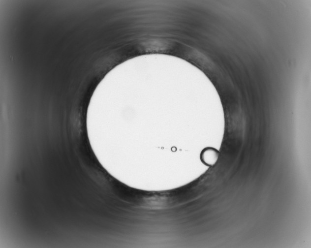 X0000089740362200707201906