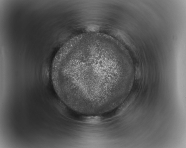 X0000089740363200707201906