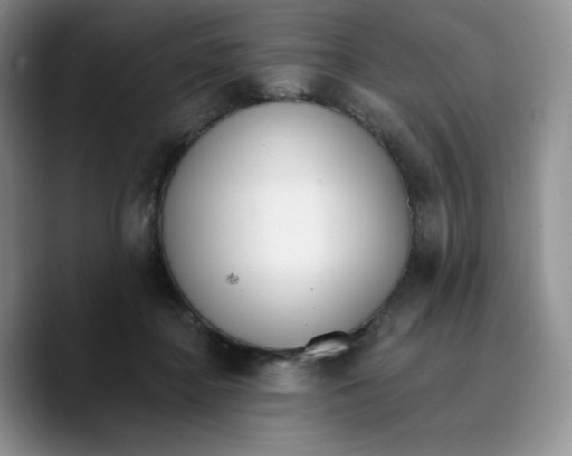 X0000089740364200707201906