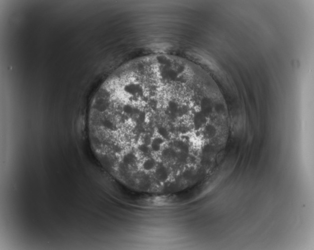 X0000089740365200707201906