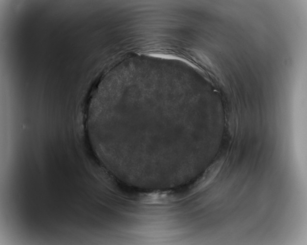 X0000089740366200707201906