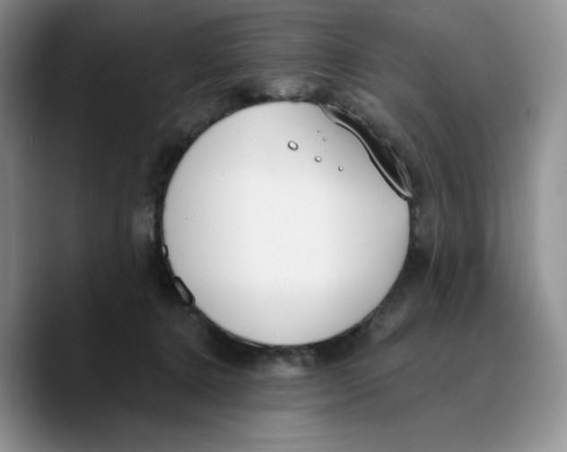 X0000089740368200707201907