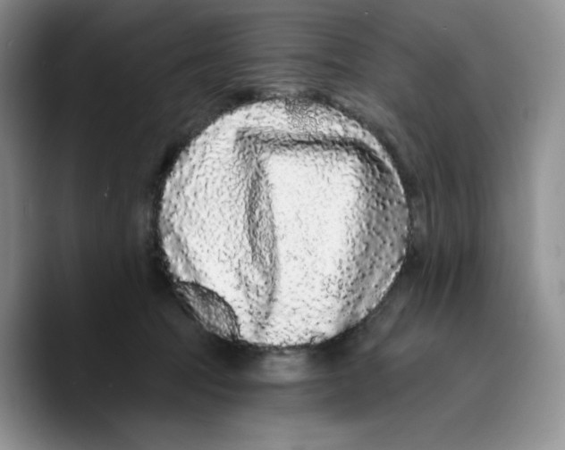 X0000089740369200707201907