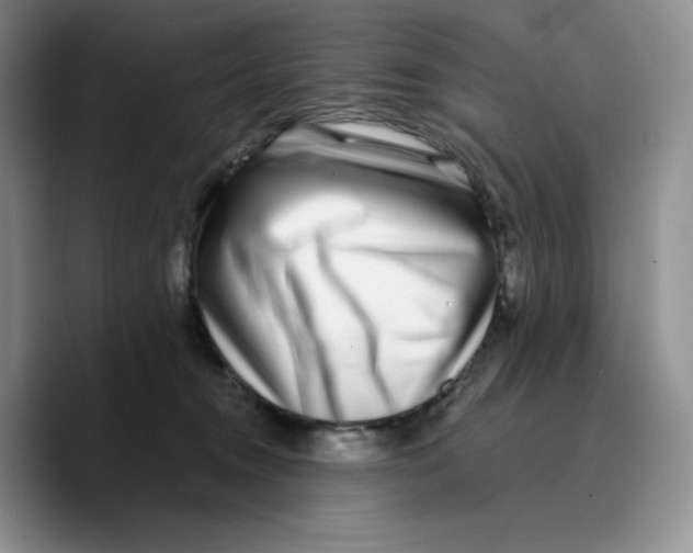 X0000089740372200707201907