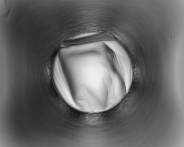 X0000089740373200707201907