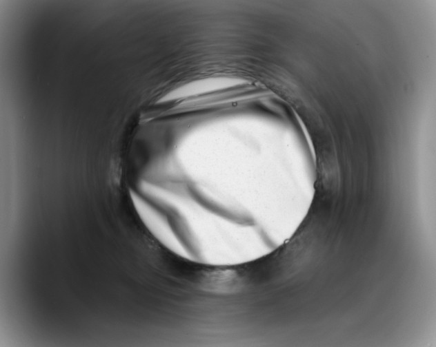 X0000089740374200707201907