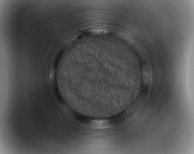 X0000089740375200707201907