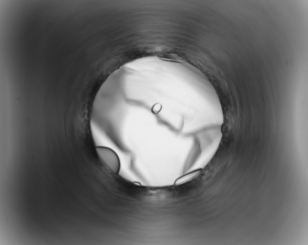 X0000089740376200707201907