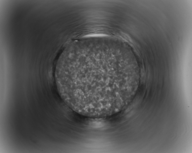 X0000089740377200707201907