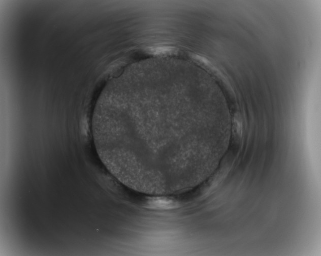 X0000089740380200707201907