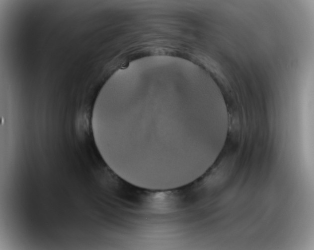 X0000089740382200707201907