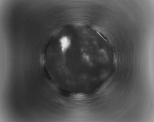 X0000089740383200707201907