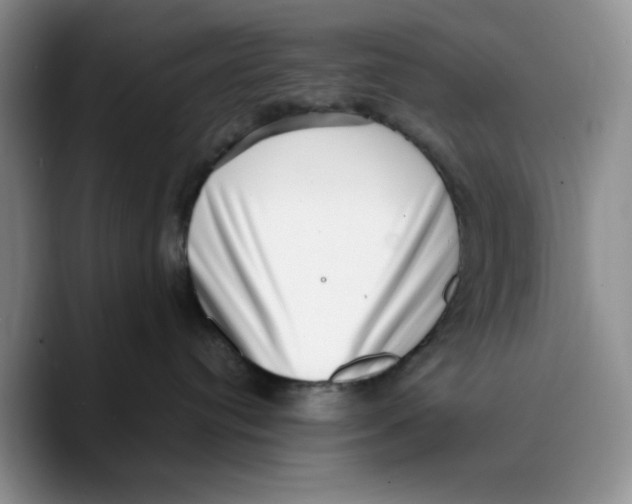 X0000089740384200707201907