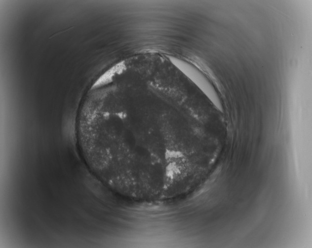 X0000089740386200707201906