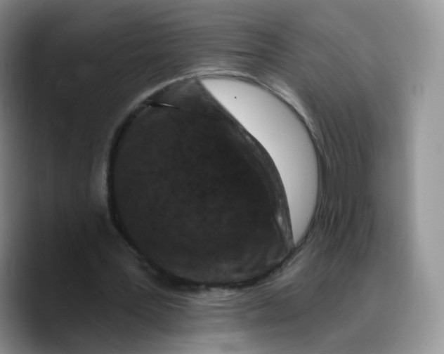 X0000089740387200707201906