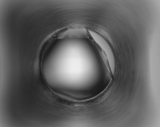 X0000089740388200707201906