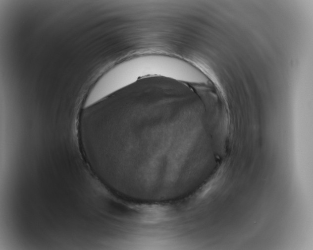 X0000089740389200707201906