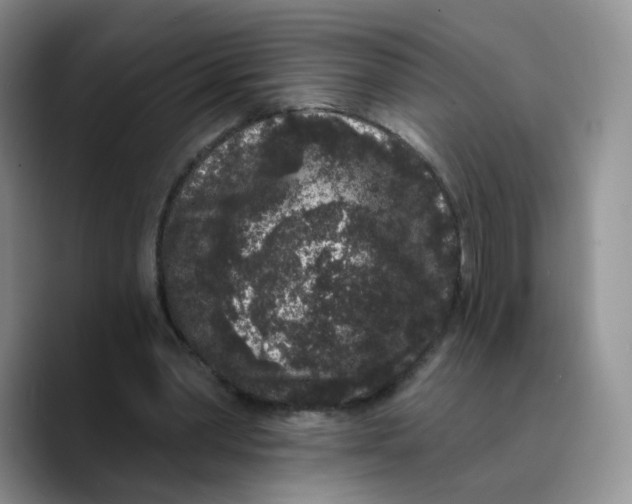 X0000089740390200707201906