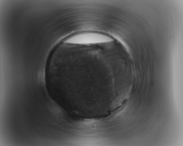 X0000089740391200707201906