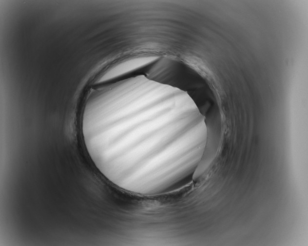 X0000089740392200707201906
