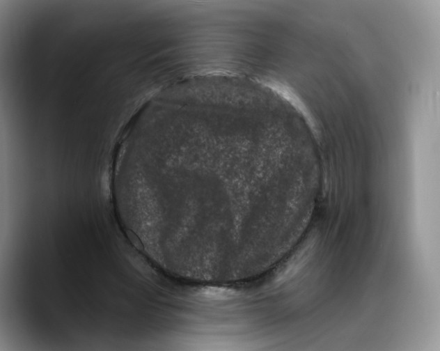 X0000089740393200707201906