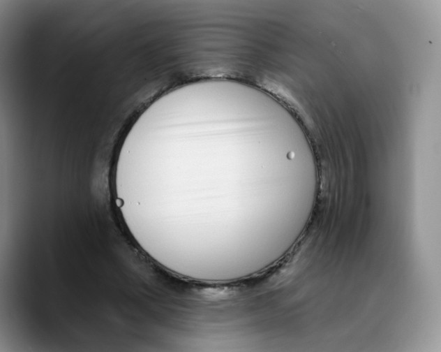 X0000089740394200707201906