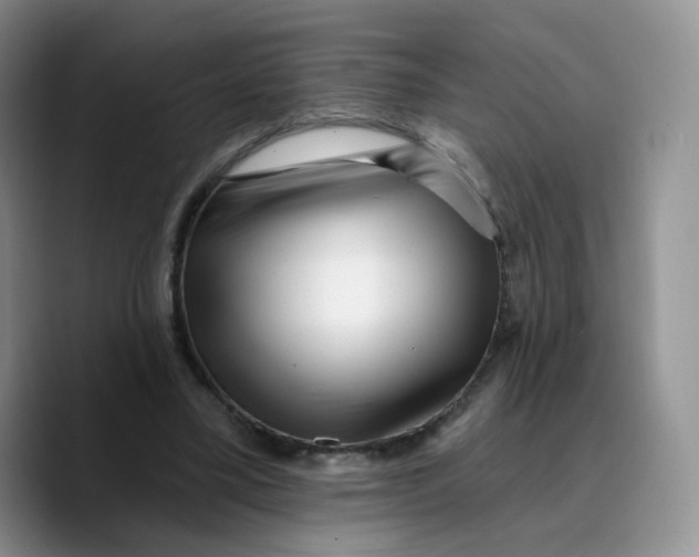 X0000089740395200707201906