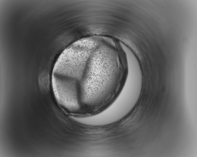 X0000089740397200707201906