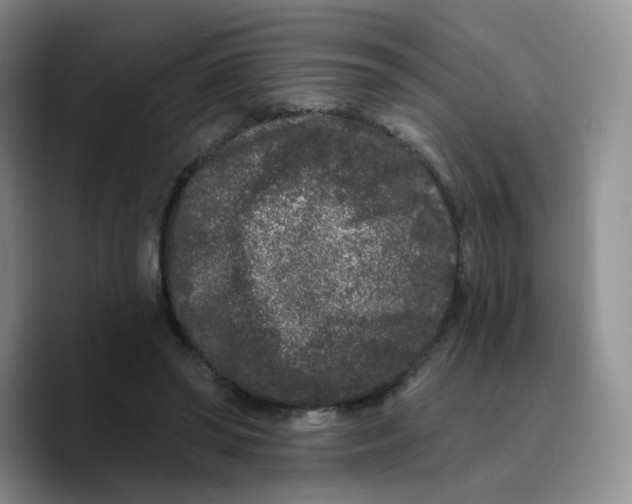 X0000089740398200707201906