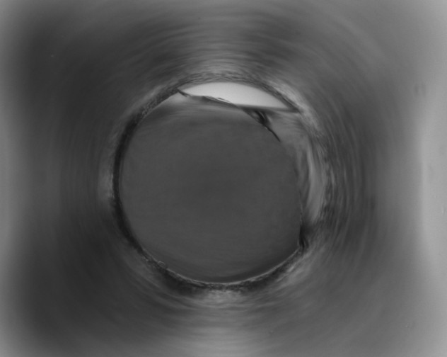 X0000089740399200707201906