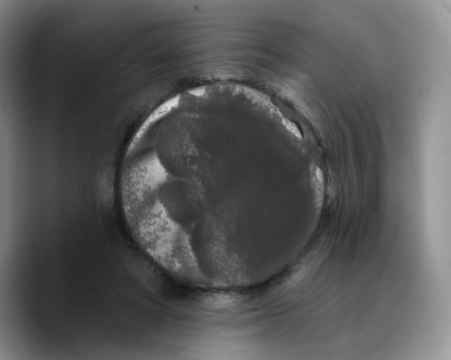 X0000089740402200707201906