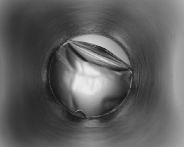 X0000089740403200707201906