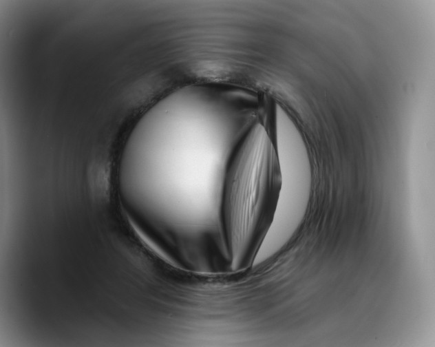 X0000089740404200707201906