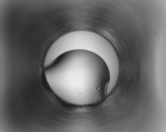 X0000089740405200707201906
