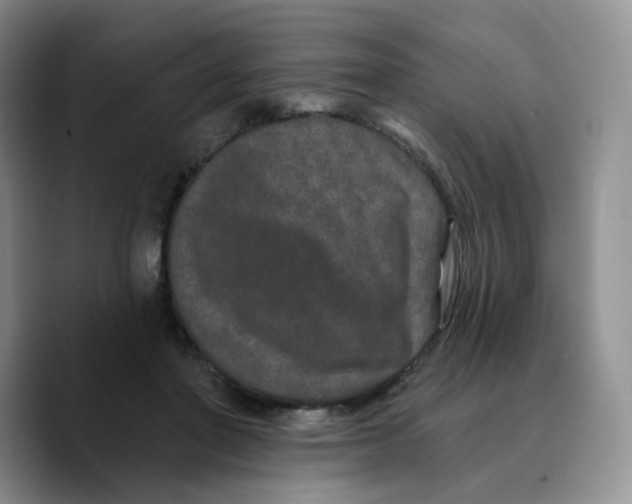 X0000089740406200707201906