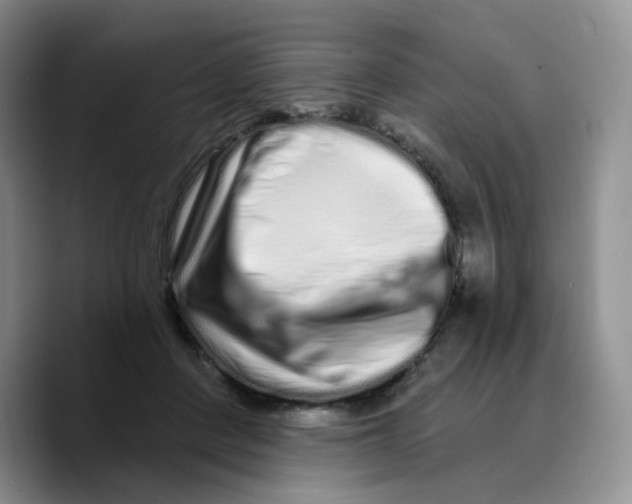 X0000089740408200707201906