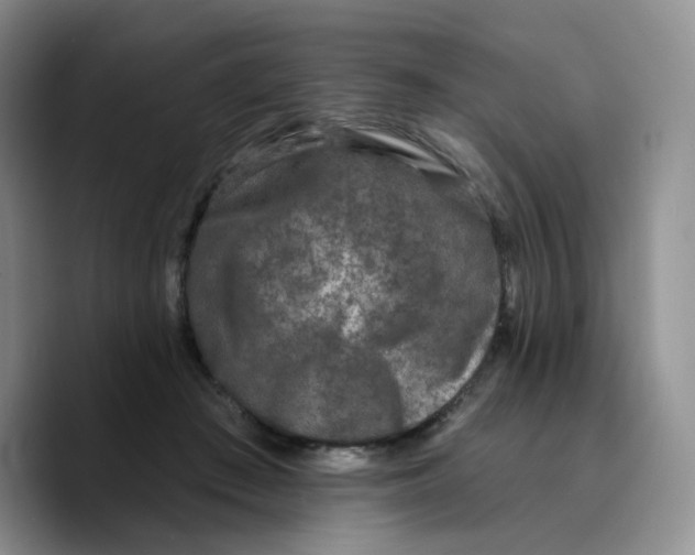 X0000089740409200707201906