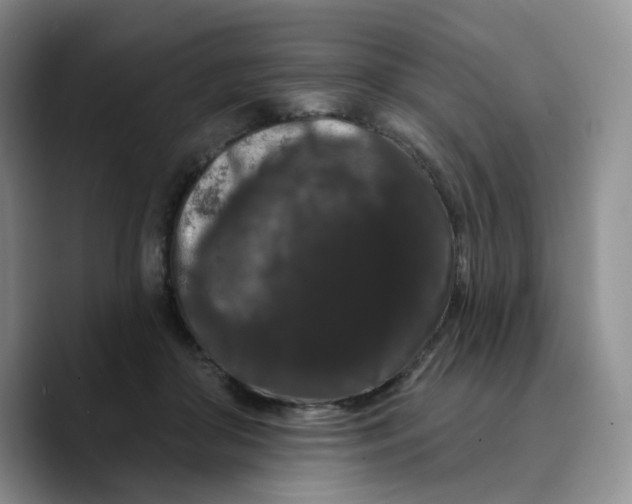 X0000089740410200707201906