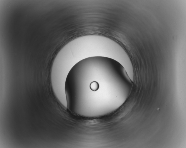 X0000089740411200707201906