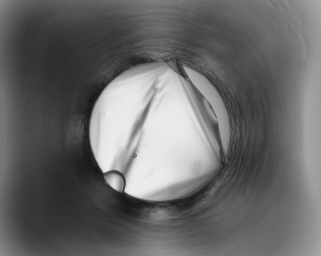X0000089740412200707201906