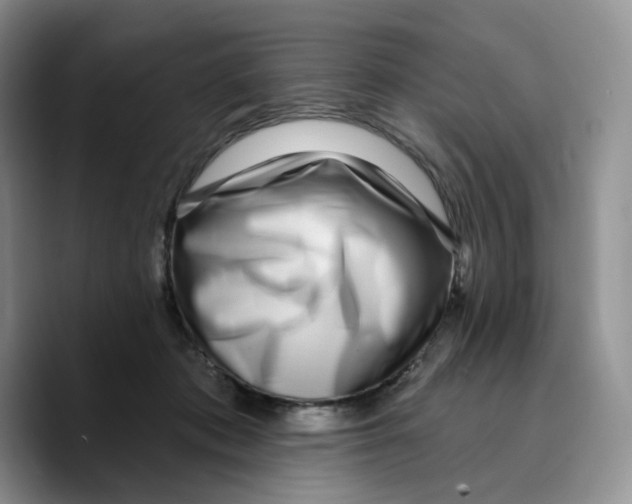 X0000089740413200707201906