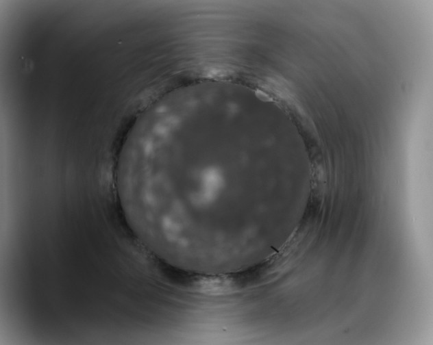X0000089740415200707201906