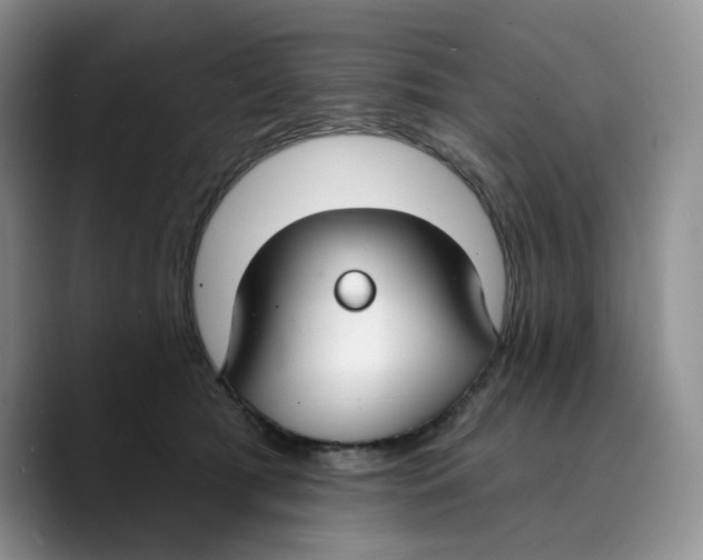 X0000089740417200707201906
