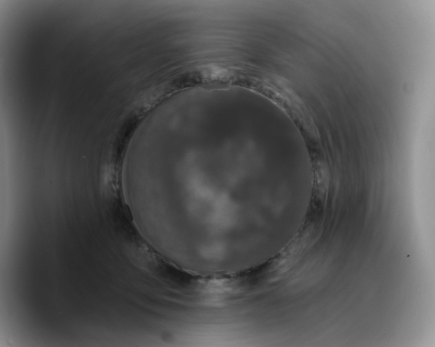 X0000089740419200707201906