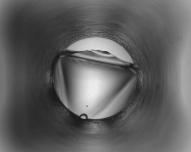 X0000089740420200707201906